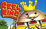 Играть на деньги в автомат Reel King
